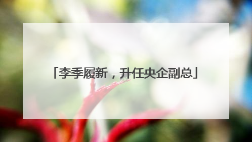 李季履新，升任央企副总