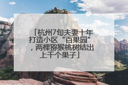 杭州7旬夫妻十年打造小区“百果园”，两棵猕猴桃树结出上千个果子