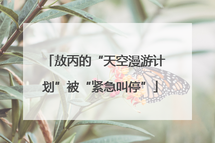敖丙的“天空漫游计划”被“紧急叫停”