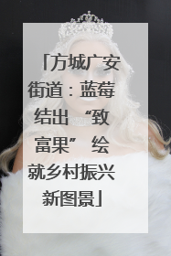 方城广安街道：蓝莓结出 “致富果” 绘就乡村振兴新图景