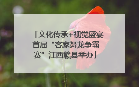 文化传承+视觉盛宴 首届“客家舞龙争霸赛”江西赣县举办