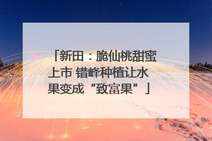新田：脆仙桃甜蜜上市 错峰种植让水果变成“致富果”