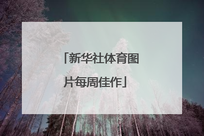 新华社体育图片每周佳作
