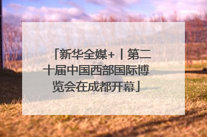 新华全媒+丨第二十届中国西部国际博览会在成都开幕