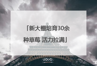 新大棚培育30余种草莓 活力拉满