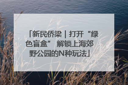 新民侨梁｜打开“绿色盲盒” 解锁上海郊野公园的N种玩法