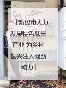 新民市大力发展特色瓜果产业 为乡村振兴注入强劲动力