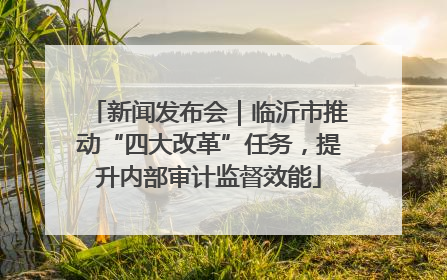 新闻发布会｜临沂市推动“四大改革”任务，提升内部审计监督效能