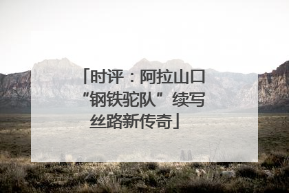 时评：阿拉山口“钢铁驼队”续写丝路新传奇