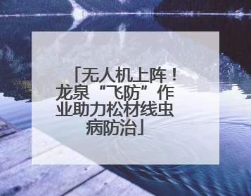 无人机上阵！龙泉“飞防”作业助力松材线虫病防治