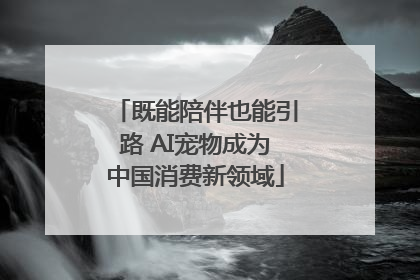 既能陪伴也能引路 AI宠物成为中国消费新领域