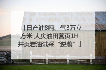 日产油8吨、气3万立方米 大庆油田营页1H井页岩油试采“逆袭”