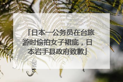 日本一公务员在台旅游时偷拍女子裙底，日本岩手县政府致歉
