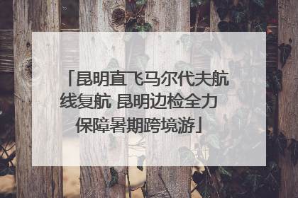 昆明直飞马尔代夫航线复航 昆明边检全力保障暑期跨境游