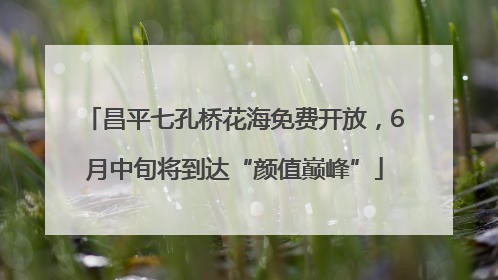 昌平七孔桥花海免费开放，6月中旬将到达“颜值巅峰”