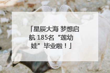 星辰大海 梦想启航 185名“莲幼娃”毕业啦！