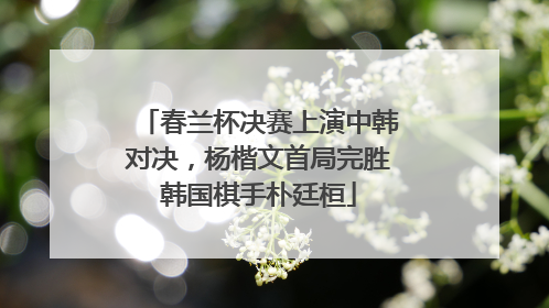 春兰杯决赛上演中韩对决，杨楷文首局完胜韩国棋手朴廷桓