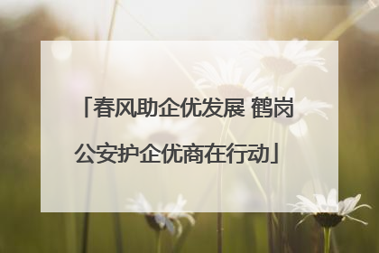春风助企优发展 鹤岗公安护企优商在行动