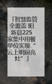 智慧监管全覆盖 阳新县225家集中用餐单位实现“云上明厨亮灶”