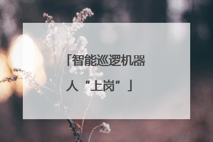 智能巡逻机器人“上岗”