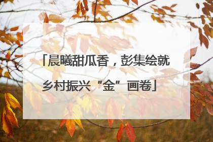 晨曦甜瓜香，彭集绘就乡村振兴“金”画卷