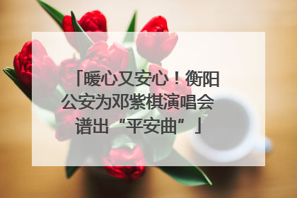 暖心又安心！衡阳公安为邓紫棋演唱会谱出“平安曲”
