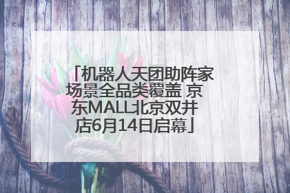 机器人天团助阵家场景全品类覆盖 京东MALL北京双井店6月14日启幕