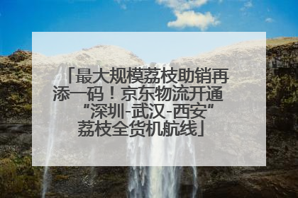 最大规模荔枝助销再添一码！京东物流开通“深圳-武汉-西安” 荔枝全货机航线