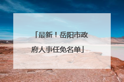 最新！岳阳市政府人事任免名单