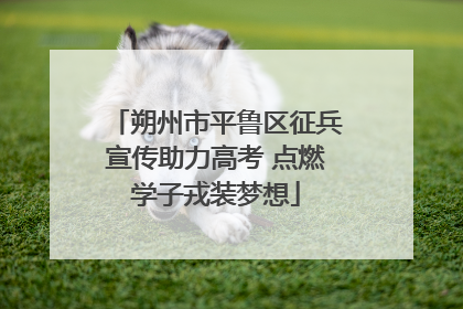 朔州市平鲁区征兵宣传助力高考 点燃学子戎装梦想