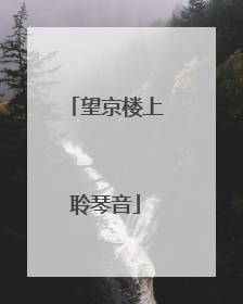 望京楼上聆琴音