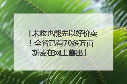 未收也能先以好价卖！全省已有70多万亩新麦在网上售出