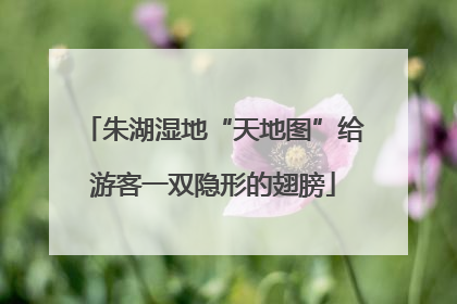 朱湖湿地“天地图”给游客一双隐形的翅膀