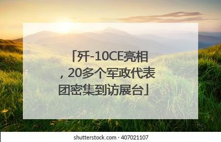 歼-10CE亮相，20多个军政代表团密集到访展台