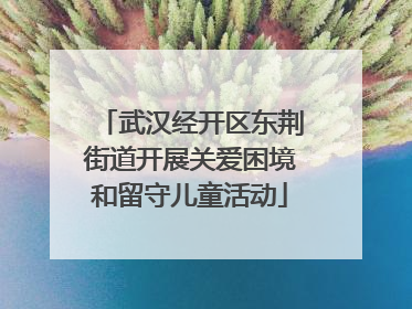 武汉经开区东荆街道开展关爱困境和留守儿童活动