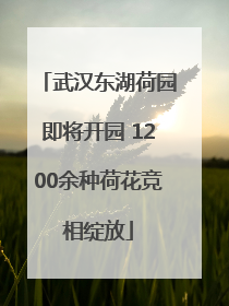 武汉东湖荷园即将开园 1200余种荷花竞相绽放