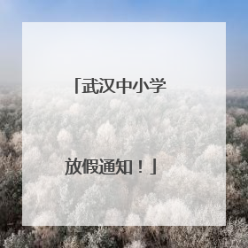 武汉中小学放假通知！