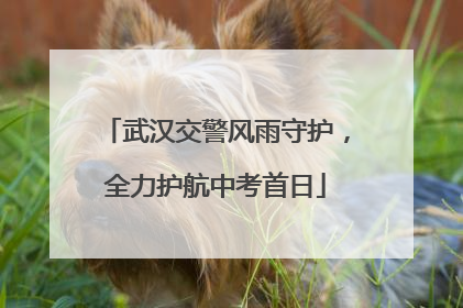 武汉交警风雨守护，全力护航中考首日