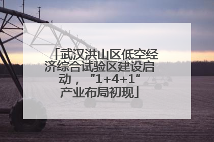 武汉洪山区低空经济综合试验区建设启动，“1+4+1”产业布局初现