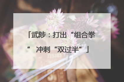 武陟：打出“组合拳” 冲刺“双过半”