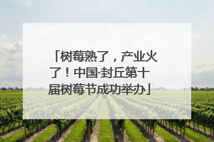 树莓熟了，产业火了！中国·封丘第十届树莓节成功举办