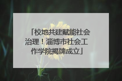校地共建赋能社会治理！淄博市社会工作学院揭牌成立