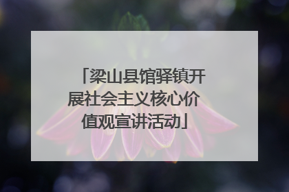 梁山县馆驿镇开展社会主义核心价值观宣讲活动