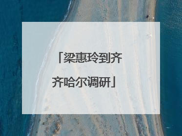 梁惠玲到齐齐哈尔调研