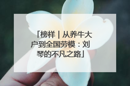 榜样｜从养牛大户到全国劳模：刘琴的不凡之路