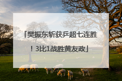 樊振东斩获乒超七连胜！3比1战胜黄友政