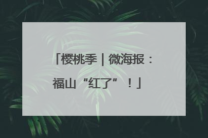 樱桃季｜微海报：福山“红了”！