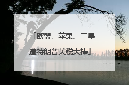 欧盟、苹果、三星遭特朗普关税大棒