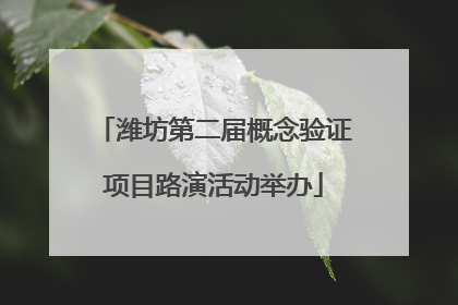 潍坊第二届概念验证项目路演活动举办