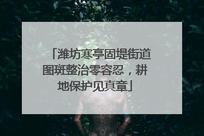 潍坊寒亭固堤街道图斑整治零容忍，耕地保护见真章